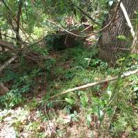 Nature trail progress
