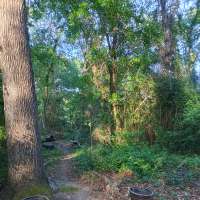 Nature trail progress