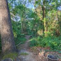 Nature trail progress