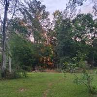 Nature trail progress