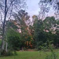 Nature trail progress