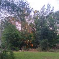 Nature trail progress