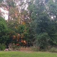 Nature trail progress