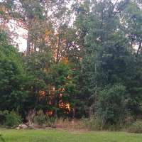 Nature trail progress