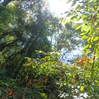 Nature trail progress