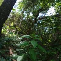 Nature trail progress