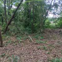 Nature trail progress