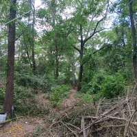 Nature trail progress