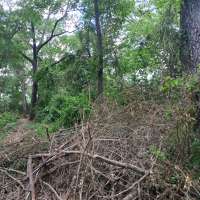 Nature trail progress