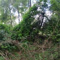Nature trail progress