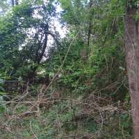 Nature trail progress