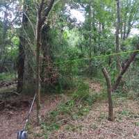 Nature trail progress