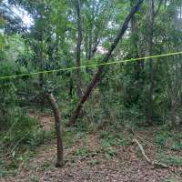 Nature trail progress