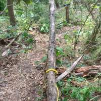 Nature trail progress