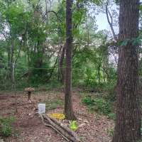 Nature trail progress