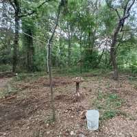 Nature trail progress