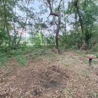 Nature trail progress