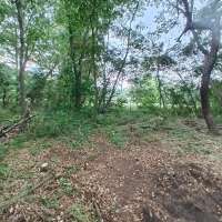 Nature trail progress