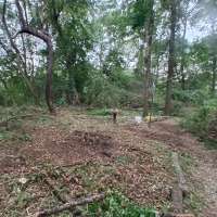 Nature trail progress