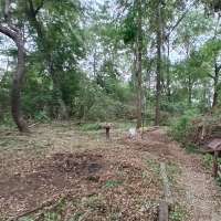 Nature trail progress