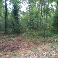 Nature trail progress