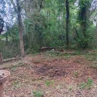 Nature trail progress