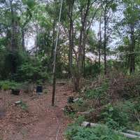 Nature trail progress
