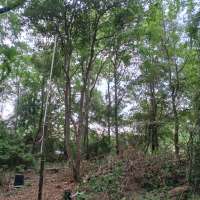 Nature trail progress