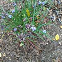 Nature trail progress