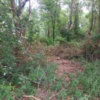 Nature trail progress