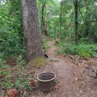 Nature trail progress