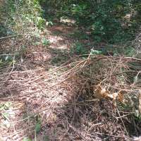 Nature trail progress