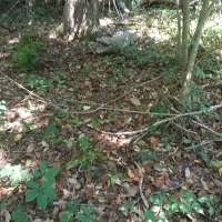 Nature trail progress