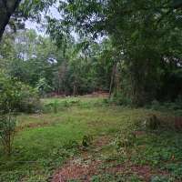 Nature trail progress