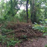 Nature trail progress