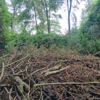 Nature trail progress