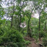 Nature trail progress