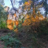 Nature trail progress