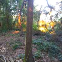 Nature trail progress