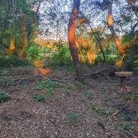 Nature trail progress