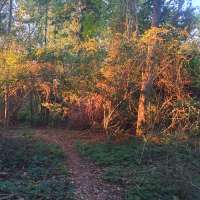 Nature trail progress