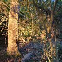 Nature trail progress