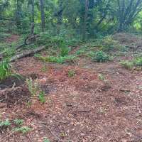 Nature trail progress