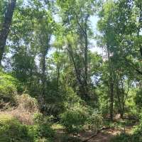 Nature trail progress