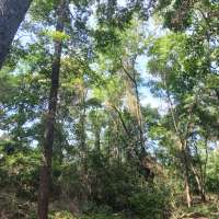 Nature trail progress