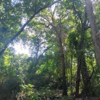 Nature trail progress