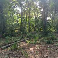 Nature trail progress