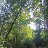 Nature trail progress