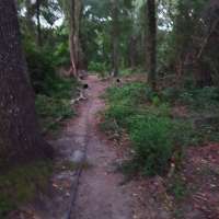 Nature trail progress