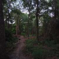 Nature trail progress
